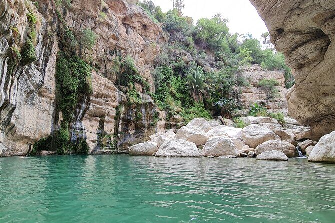 Hidden Gems of Oman: Sinkhole, Fins Beach & Wadi Tiwi Adventure - Wadi Tiwi waterfalls: where the day earns its keep