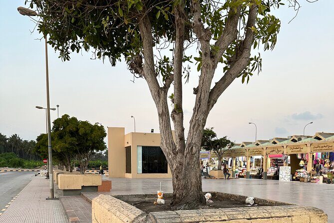 Historical Salalah City Tour - Sultan Qaboos Palace photo stop, plus Al Hosn Palace and Al-nahdhah Tower