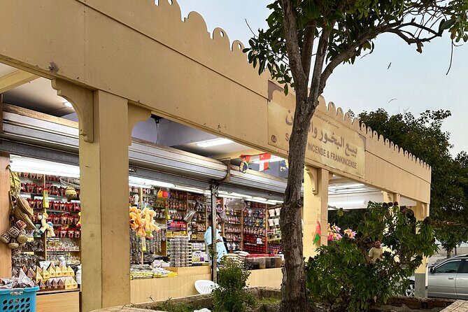 Historical Salalah City Tour - Guides and timing: what can go right, and what to watch