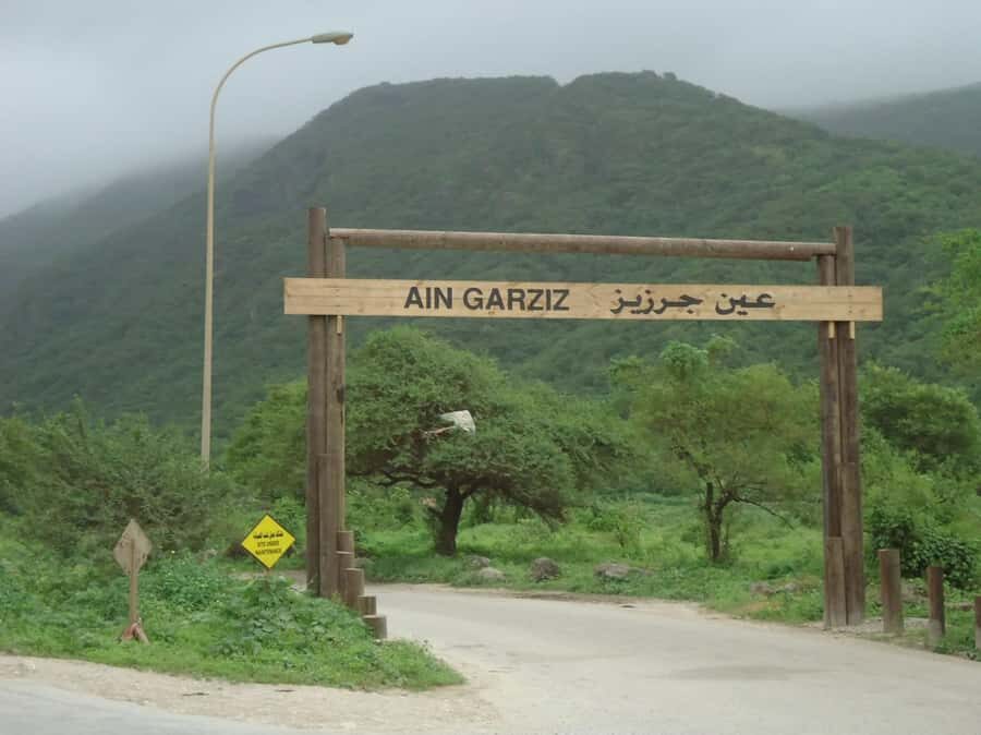 Historical Salalah City Tour with Culture, Food & Shopping - Sultan Qaboos Mosque: a 30-minute lesson in Dhofar’s spiritual heart