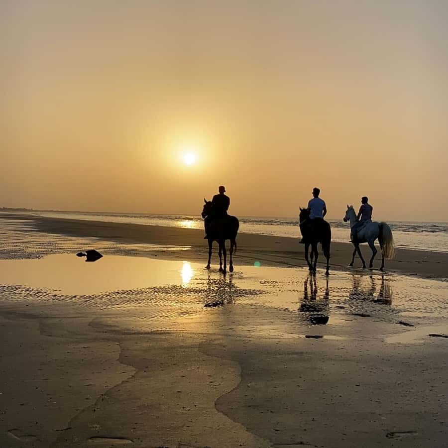 Horse riding in muscat beach - Horse Riding in Muscat Beach: Why It’s a Great First-Time Choice