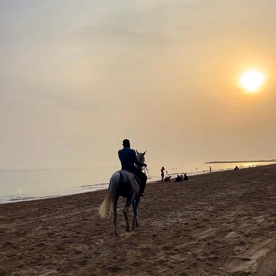 Horse riding in muscat beach - Price and Value: Is $59 for an Hour a Fair Deal?