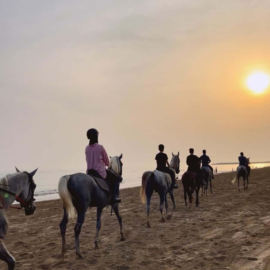 Horse riding in muscat beach - From the Stable to the Shore: What Your Hour Looks Like