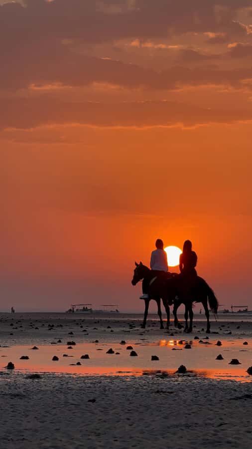 Horse Riding Muscat | Beach Horse Riding - Key things to know before you ride Al Sawadi Beach
