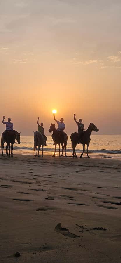 Horse Riding Muscat | Beach Horse Riding - The one-hour ride: how the experience usually unfolds