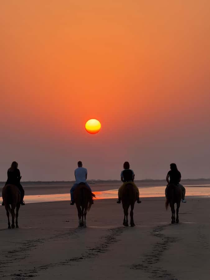 Horse Riding Muscat | Beach Horse Riding - Getting there from Muscat: meeting points and timing matters