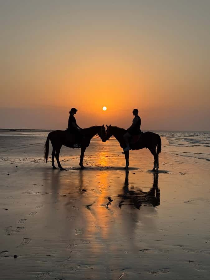Horse Riding Muscat | Beach Horse Riding - Who should book this ride, and who should skip it
