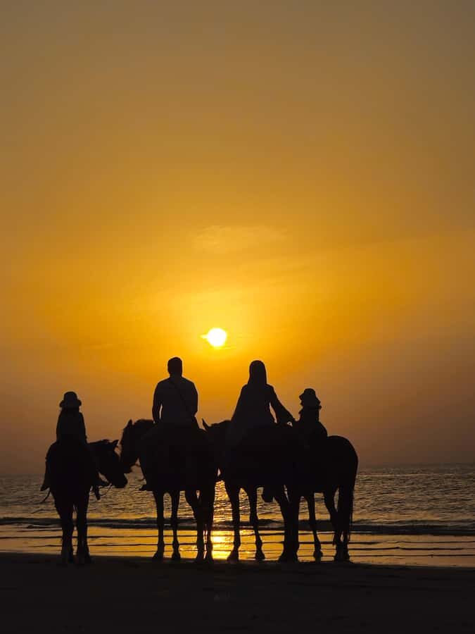 Horse Riding Muscat | Beach Horse Riding - Your guide, your horse, and what calm support feels like