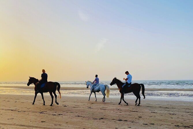 Horse Riding on the beach - Key things that make this ride worth your time