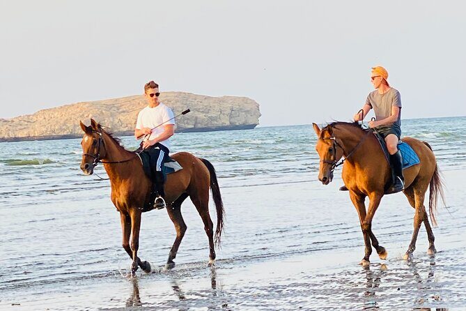 Horse Riding on the beach - Golden hour on Muscat’s beach: what the ride is really like