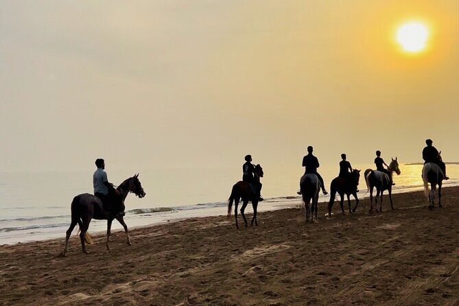 Horse Riding on the beach - Your on-beach experience: waves, color, and a steady pace