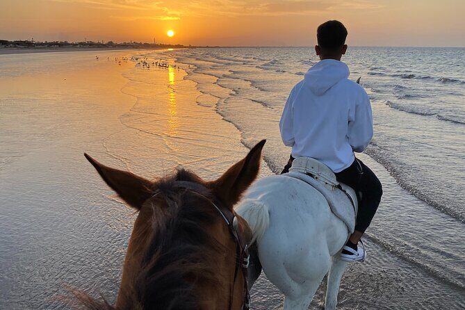 Horse Riding on the beach - Who this is best for (and who might want something else)