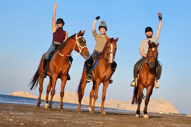 Horseback Riding Muscat Beach - Key Highlights You’ll Actually Care About