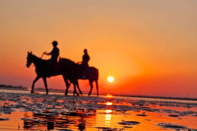 Horseback Riding Muscat Beach - Photography While You Ride: “Photo-Friendly” Without Killing the Fun