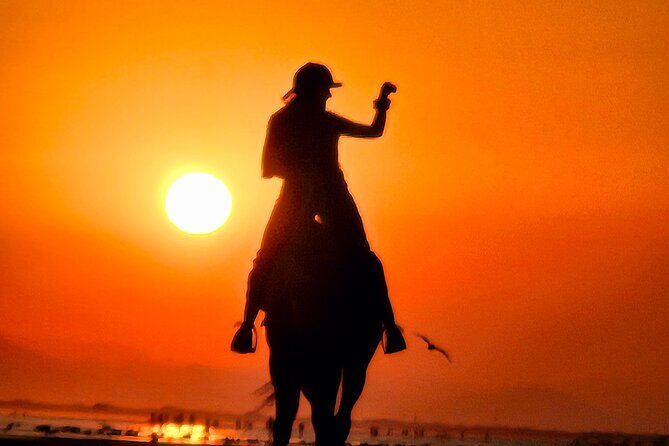 Horseback Riding Muscat Beach - Who This Ride Fits Best (and Who Should Reconsider)