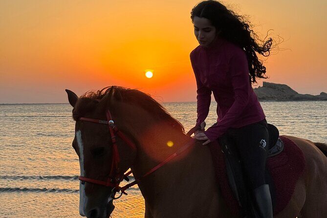 Horseback Riding Muscat Beach - The One-Hour Ride: Ocean Views, Walk-to-Trot Progression
