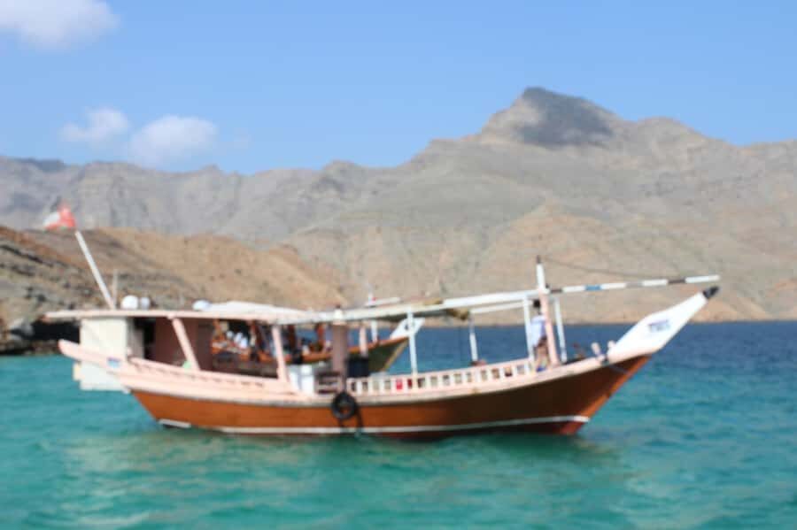 Khasab: Dhow Cruise with Lunch, Dolphin Watching& Snorkeling - Dolphin watching in the Musandam Fjords: what you should expect
