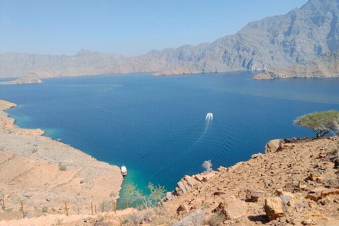Khasab Musandam Half Day Dhow Cruise - Food, drinks, and practical comfort for a 3.5-hour trip