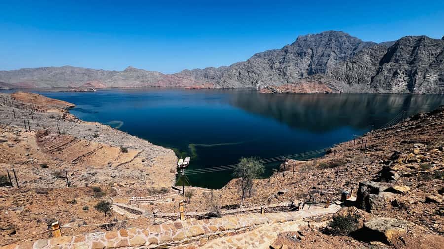 Khasab Musandam |Telegraph Island |Dhow Cruise | Dolphins - Should you book the Khasab Musandam dhow cruise with Telegraph Island?