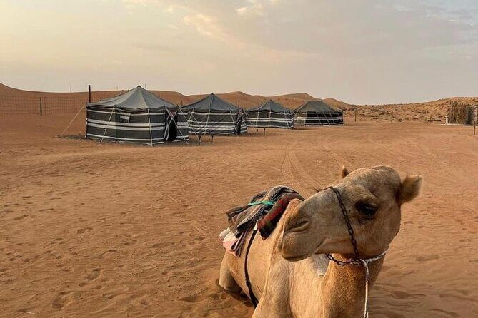 Luxury Overnight Desert Safari in Salalah - Getting There Comfortably: Vehicles, Stops, and the Way the Day Flows