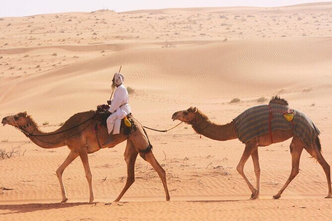 Luxury Sunset Desert Safari - Thumrait road viewpoint: quick elevation, easy photo stops, ticket included