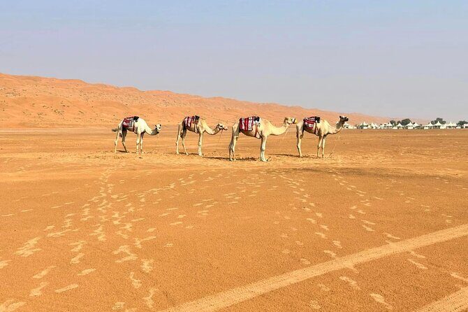 Luxury Sunset Desert Safari - Arabic coffee and tea at sunset: the payoff you’ll remember