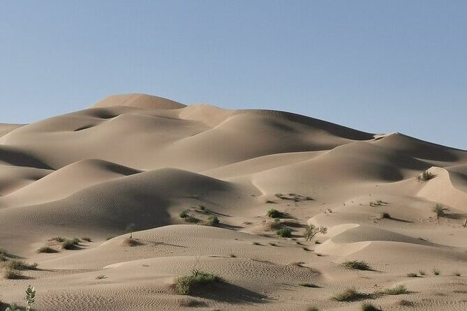 Luxury Sunset Desert Safari - Price and value: what $175 per person really covers