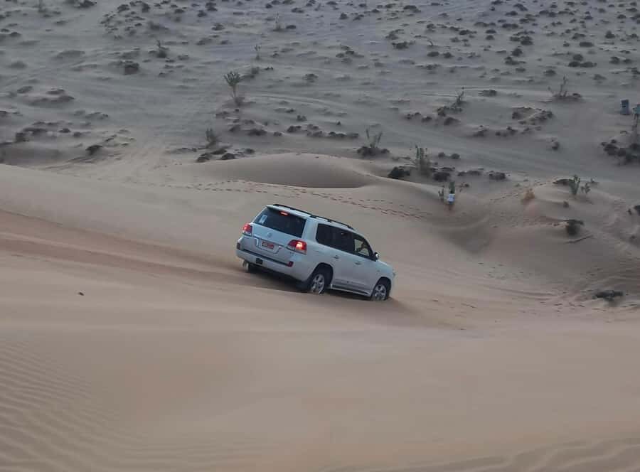 Magical Desert Safari By Land Cruise in Empty Quarter - Empty Quarter Magic: why this safari grabs your attention