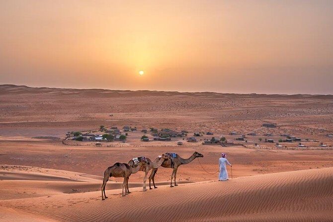 Mountain, Desert & Coastal Tour (03 Days / 02 Nights) - Who should book this Mountain, Desert & Coastal tour