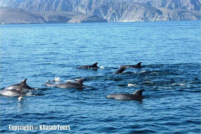 Musandam Khasab Day Trip and Dhow Cruise from Dubai - Snorkeling in Musandam: what you’ll be glad you packed for