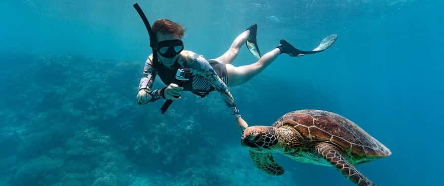 Muscat: 4-Hour Snorkeling Tour with Dolphin watching - Price and Value: Is $90 Per Person Reasonable?