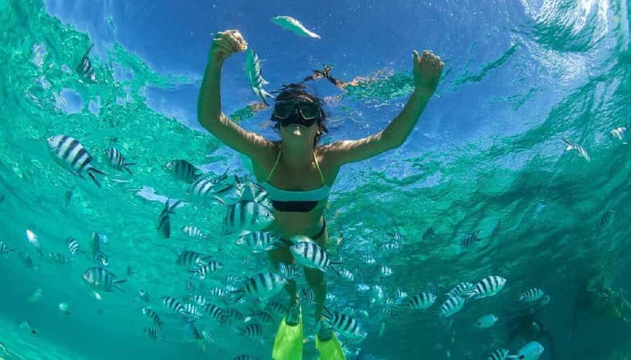 Muscat: 4-Hour Snorkeling Tour with Dolphin watching - Who This Tour Fits Best (and Who Should Skip It)