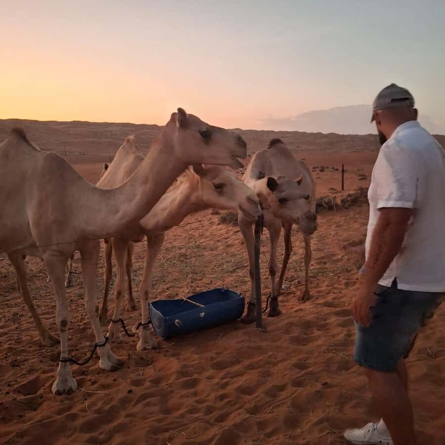 Muscat: Bidiya Desert Sunset Camel Ride with Transfer - The 4x4 Sand Tour: More Dunes, Better Angles, Less Guesswork