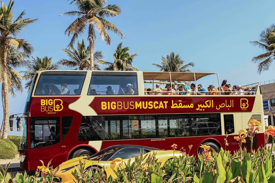 Muscat: Big Bus Hop-On Hop-Off Sightseeing Tour - Your Hop-On Hop-Off Map: What the Route Actually Connects