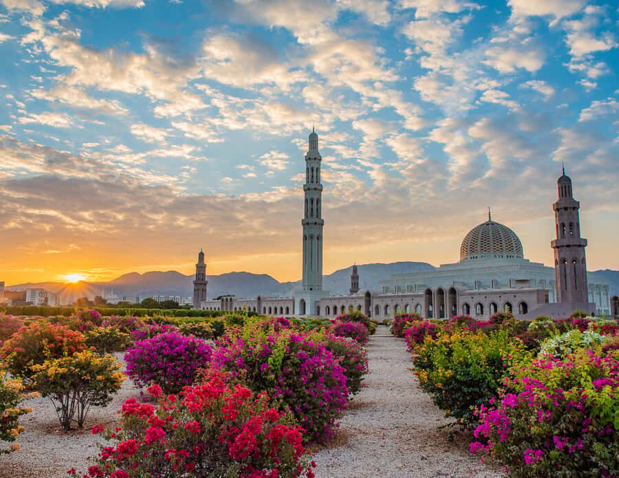Muscat: Budget Friendly City Tour - Muscat in a few hours: how this route really helps
