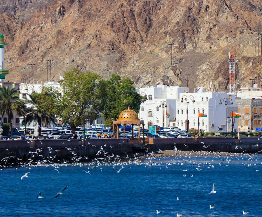 Muscat: Budget Friendly City Tour - Guides: the difference between seeing and understanding
