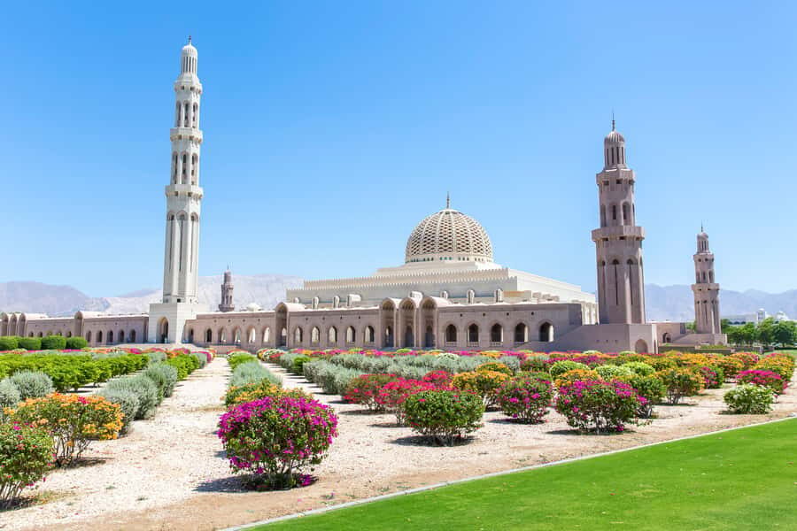 Muscat: City Tour of Grand Mosque, Old Souqs, Museum, & Fort - Price and Value: What $389 Per Group Gets You
