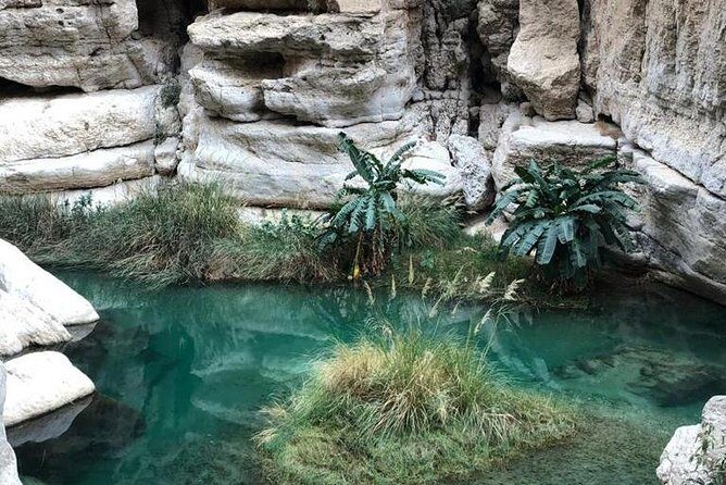 Muscat City & Wadi Shab Full-Day Adventure - Stop 3: Wadi Shab—swim pools, cave waterfall, and the hike that matters
