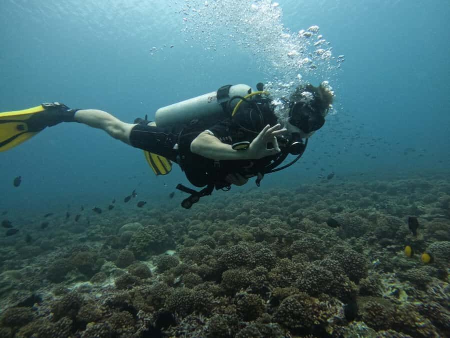 Muscat: Daymaniat Islands Scuba Diving for Beginners - Key takeaways before you go