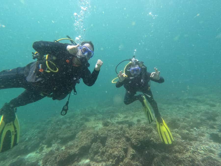 Muscat: Daymaniat Islands Scuba Diving for Beginners - Safety and comfort for non-swimmers: how to set yourself up well