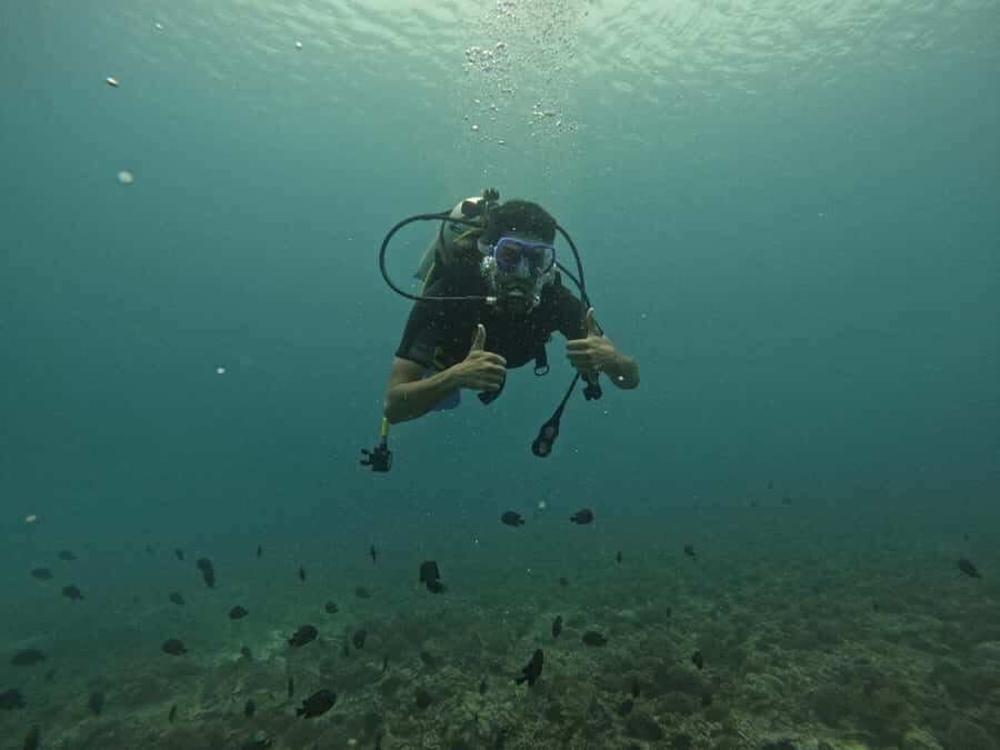 Muscat: Daymaniat Islands Scuba Diving for Beginners - Who should book (and who should pass)