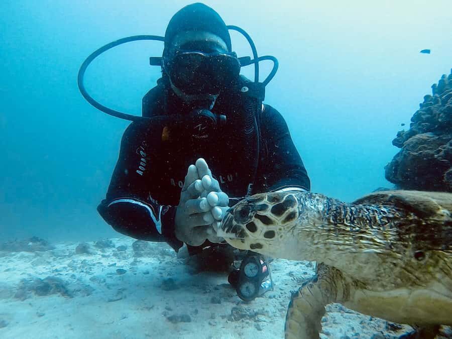Muscat: Daymaniat Islands Scuba Diving for Beginners - Your 8:15 AM to 13:30 schedule: theory, equipment, and first try