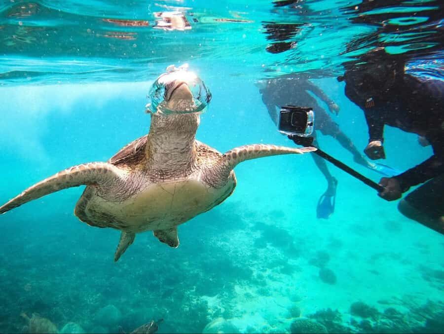 Muscat: Daymaniat Islands Snorkeling Trip with Brunch - Key things to know before you go