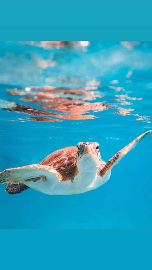 Muscat: Daymaniat Islands Snorkeling Trip with Brunch - Getting out there: boat ride comfort and real sea-condition talk