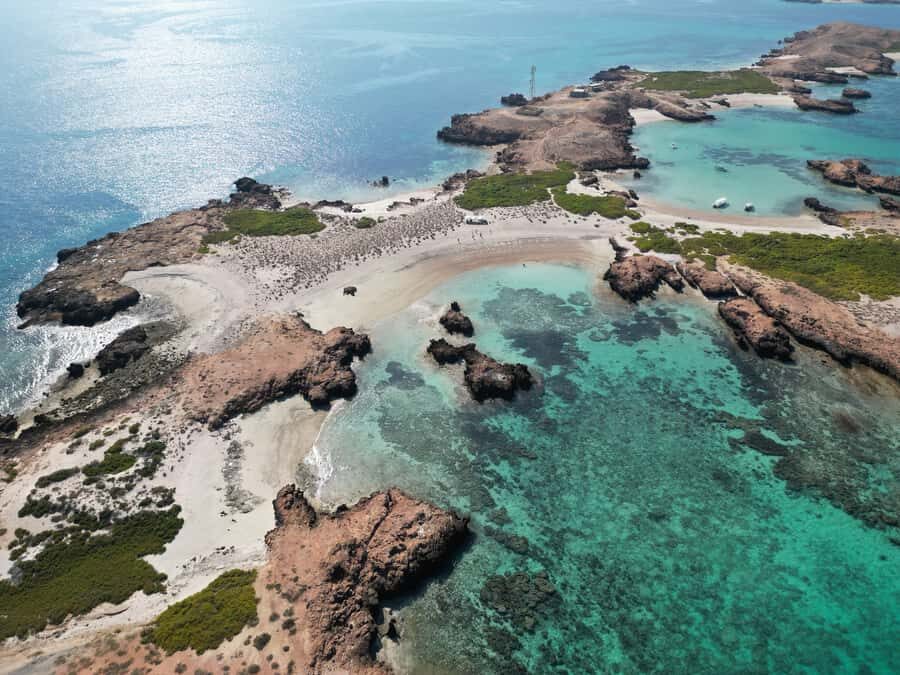 Muscat: Daymaniat Islands Tour - Daymaniat Islands From Seeb Port: A 5-Hour Reef Day That Feels Unhurried