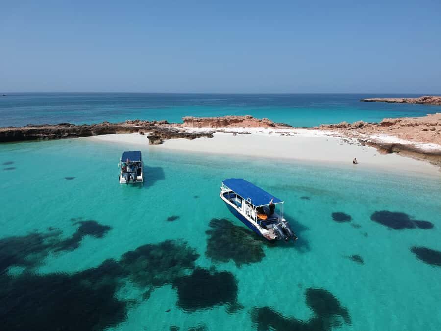 Muscat: Daymaniyat Island Snorkeling with Turtles Tour - Who should book this tour (and who should skip it)
