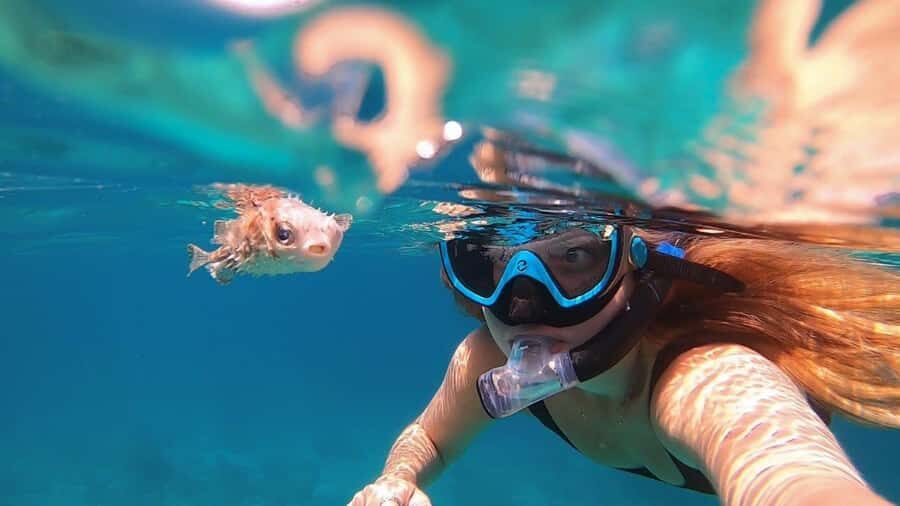 Muscat: Daymaniyat Island Snorkeling with Turtles Tour - Getting from Muscat to the water without wasting your day