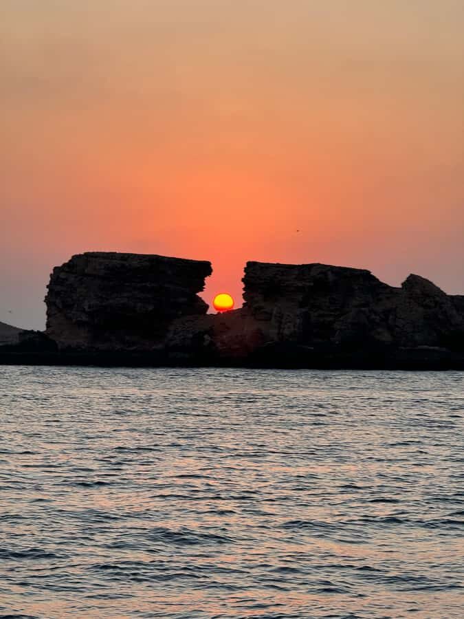Muscat: Daymaniyat Islands Snorkeling Tour - Pre-trip briefing and safety: why it helps even if you snorkel before