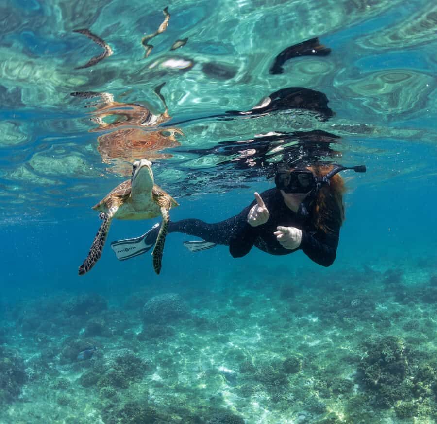 Muscat: Daymaniyat Islands Snorkeling Trip with BBQ Lunch - What You’ll See: Turtles, Reef Fish, Rays, and the Occasional Surprise