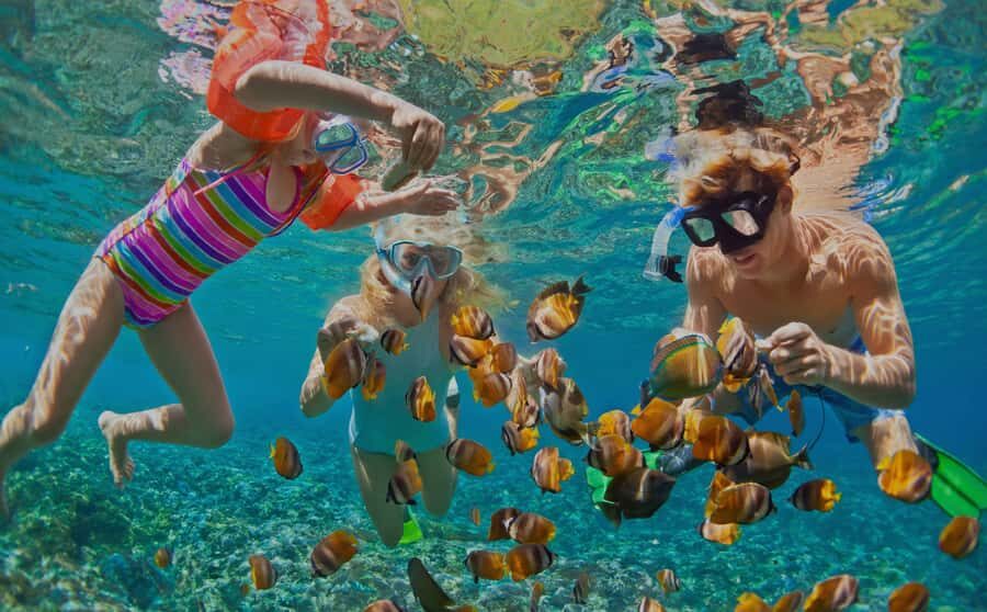 Muscat: Dolphin Watching and Snorkeling Tour - Safety and comfort on the water (and the weather you should respect)